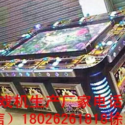 廣州若云動(dòng)漫 10人正版打魚游戲機(jī)批發(fā)價(jià)格與行業(yè)優(yōu)勢解析